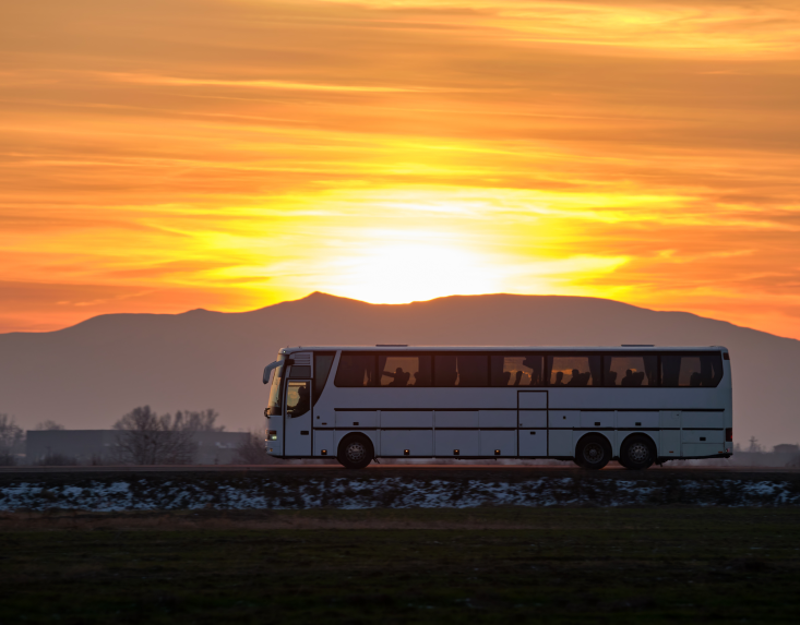 sunrise bus